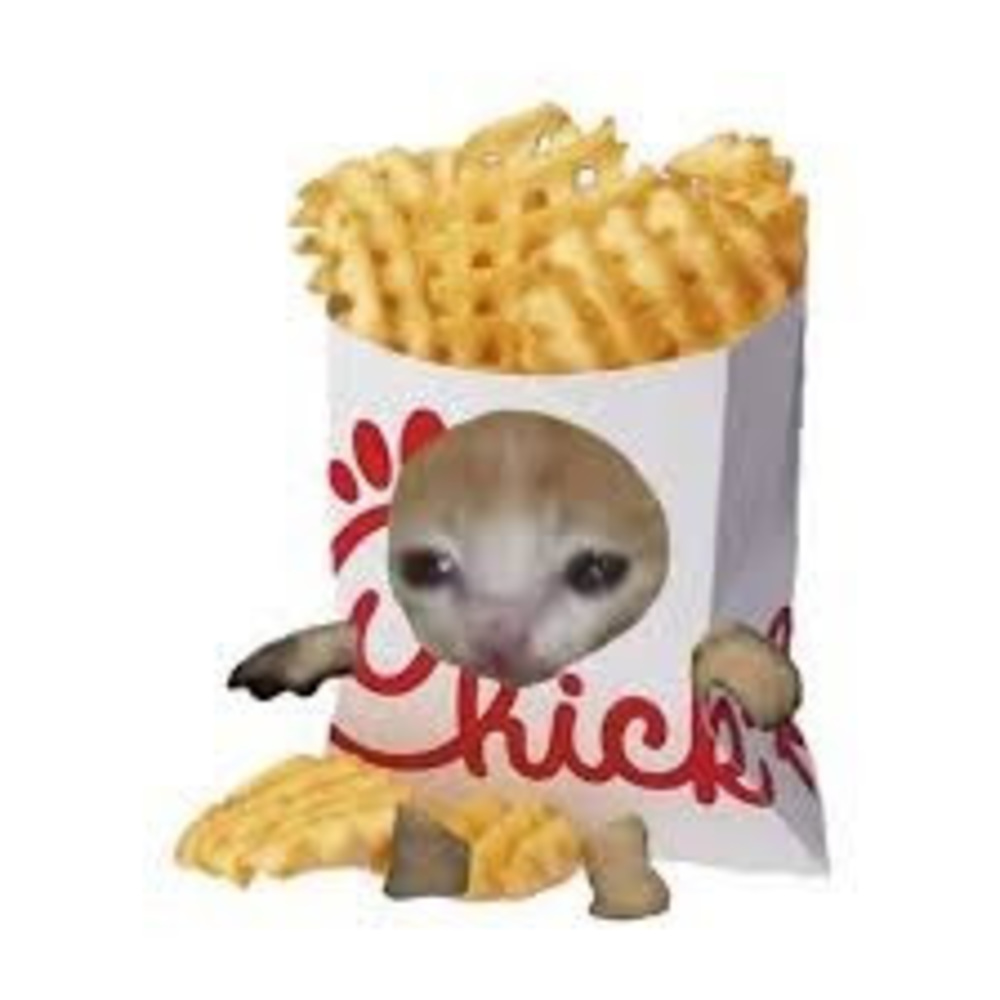 Meet your Posher, Rylynn